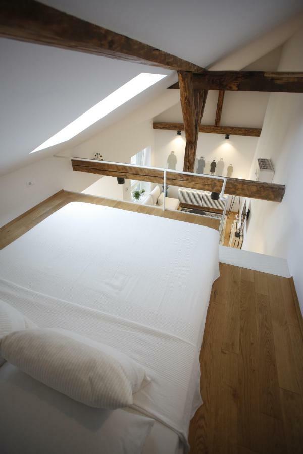 Studio Apartman Olaf 萨格勒布 外观 照片