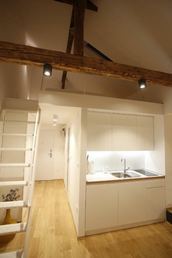 Studio Apartman Olaf 萨格勒布 外观 照片